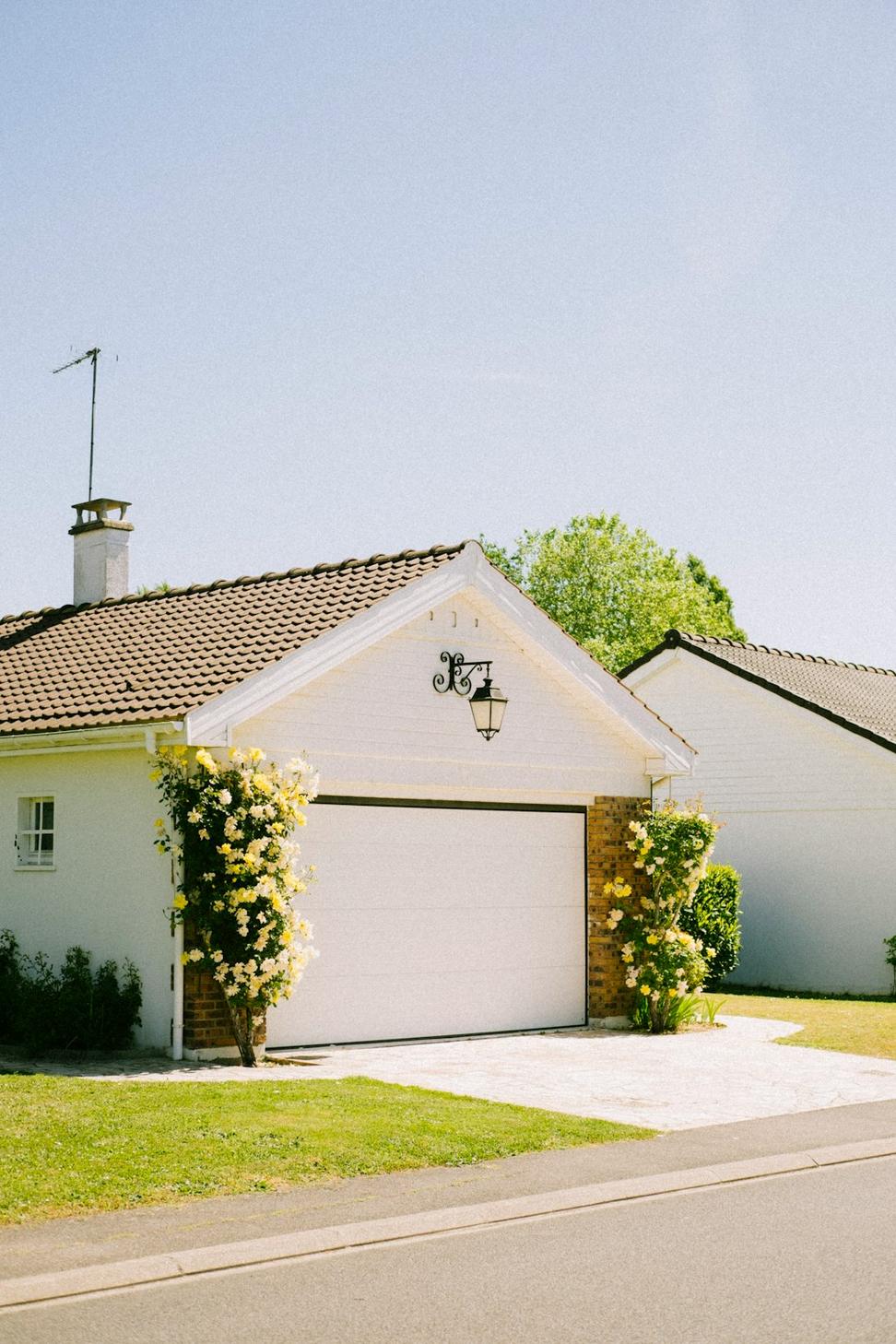 Laneway Living